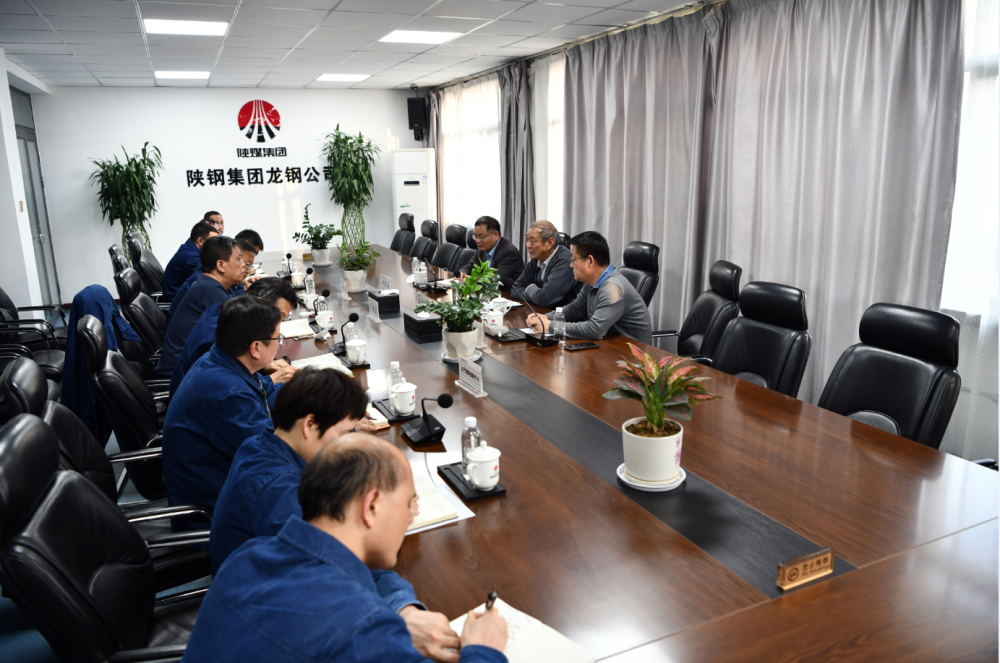 中國金屬學會王天義一行來陜鋼集團龍鋼公司開展環(huán)保節(jié)能新技術應用現場調研