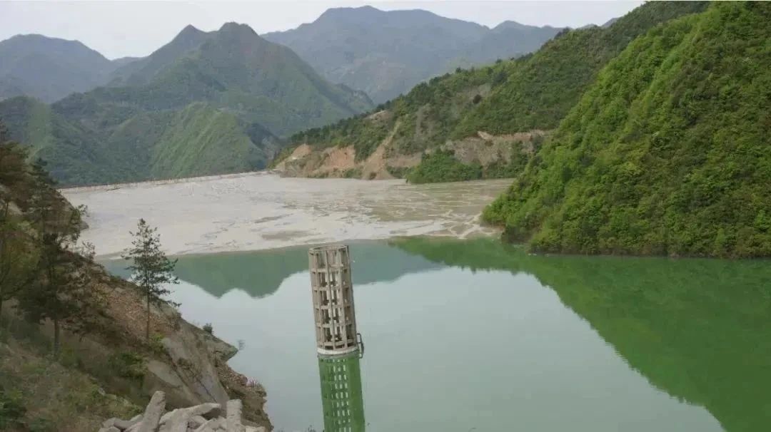 主題教育強根鑄魂，雙融雙促同頻共進